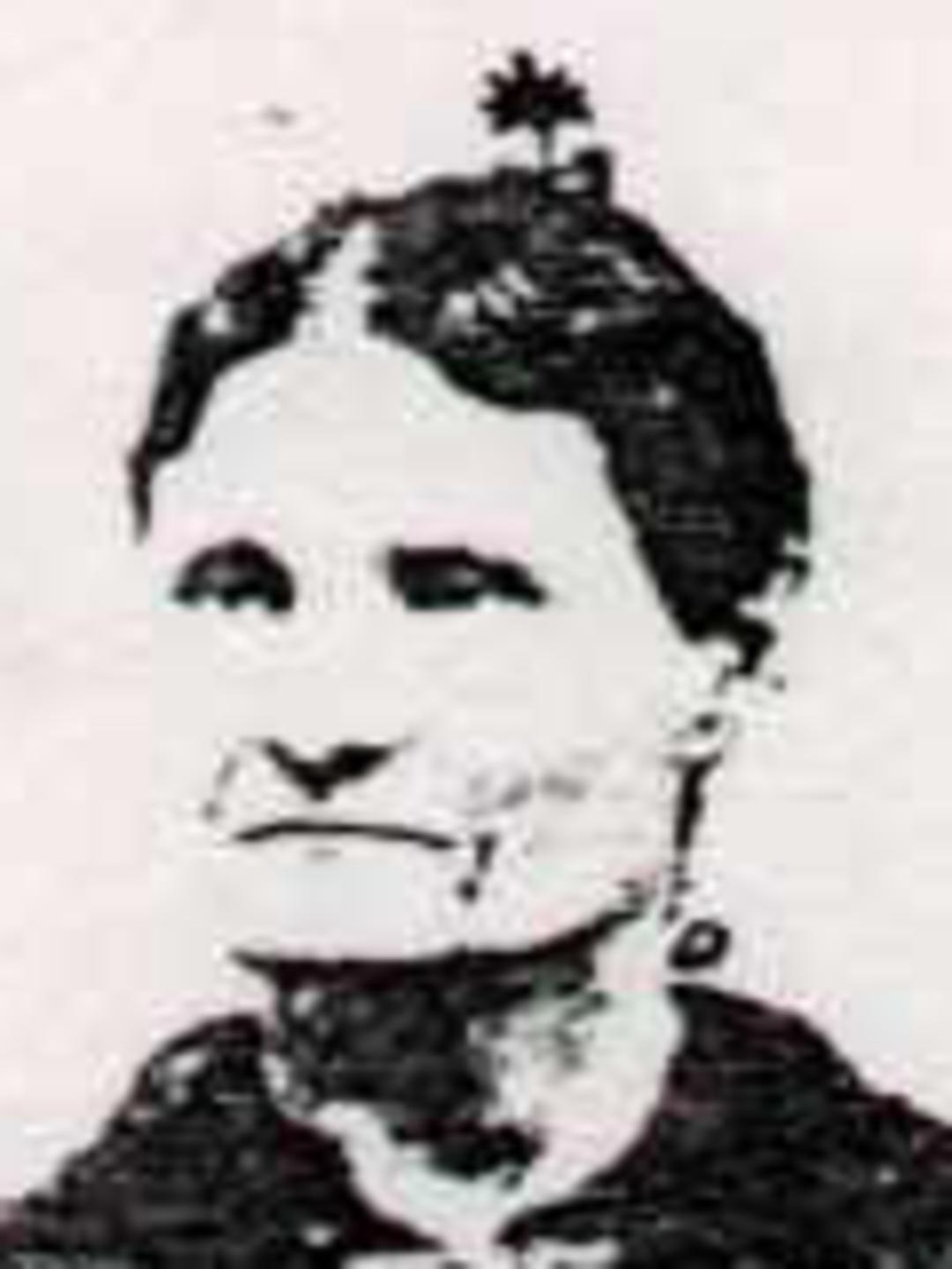 Ann Horton Matthews (1838 - 1913) Profile